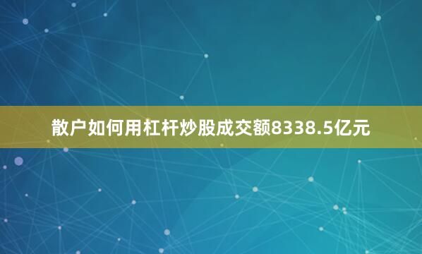 散户如何用杠杆炒股成交额8338.5亿元