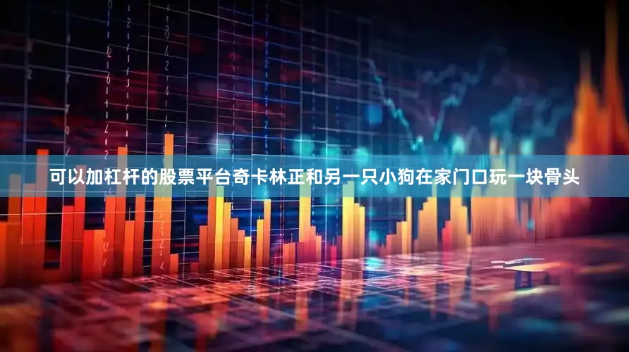 可以加杠杆的股票平台奇卡林正和另一只小狗在家门口玩一块骨头