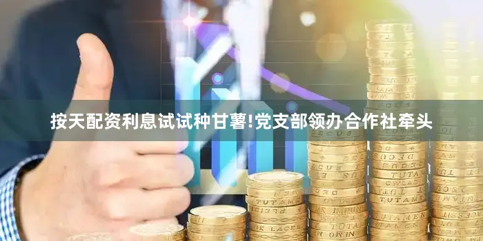 按天配资利息试试种甘薯!党支部领办合作社牵头