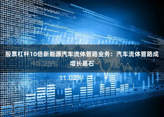 股票杠杆10倍　　新能源汽车流体管路业务：汽车流体管路成增长基石