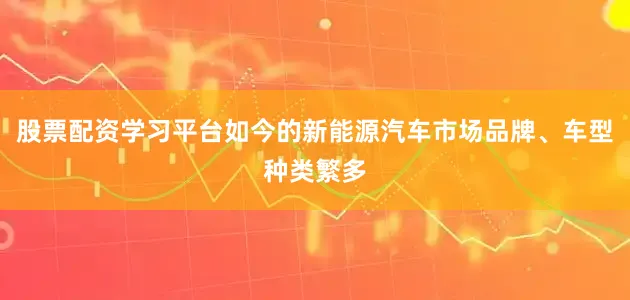 股票配资学习平台如今的新能源汽车市场品牌、车型种类繁多